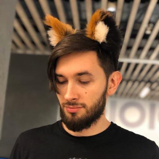 Аватар Anton Taranov