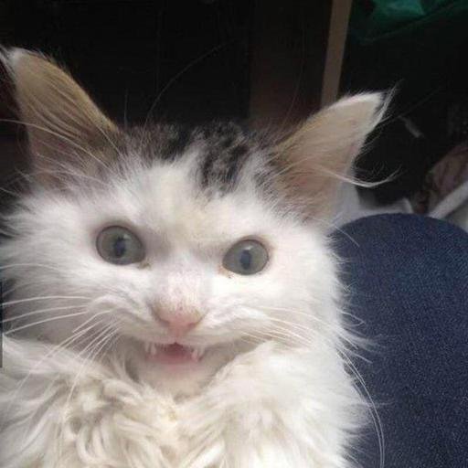 Аватар Иван Ерохин