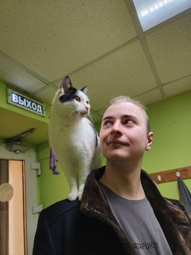 Аватар Владимир Лебедев