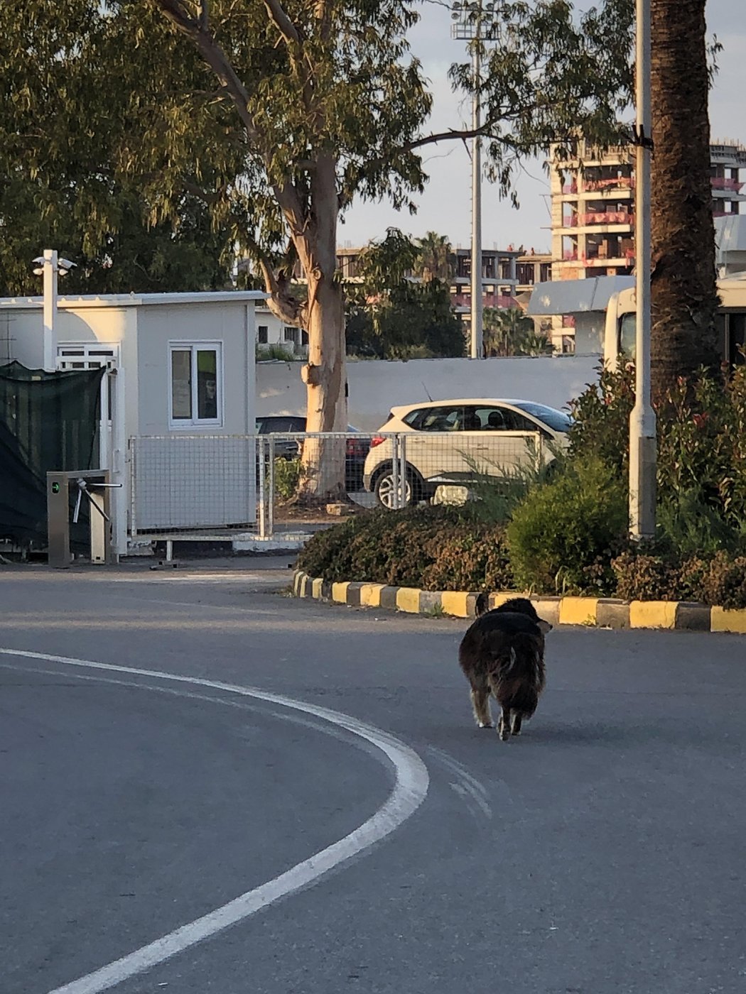 абьюзивный агрессор прогуливается по кладбищу в поисках жертвы