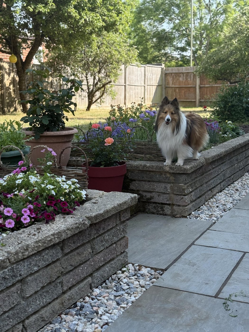 сад! зато у нас есть сад!