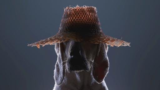 Аватар Михаил Филин