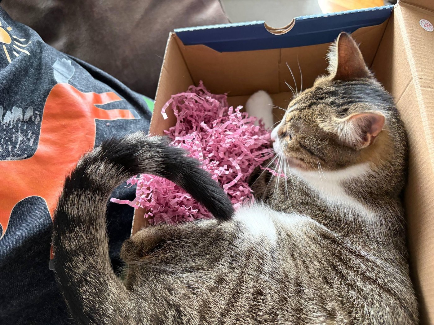 И коробка также пригодилась!