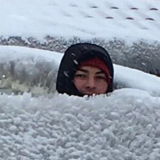 Аватар Nikita Zabelin