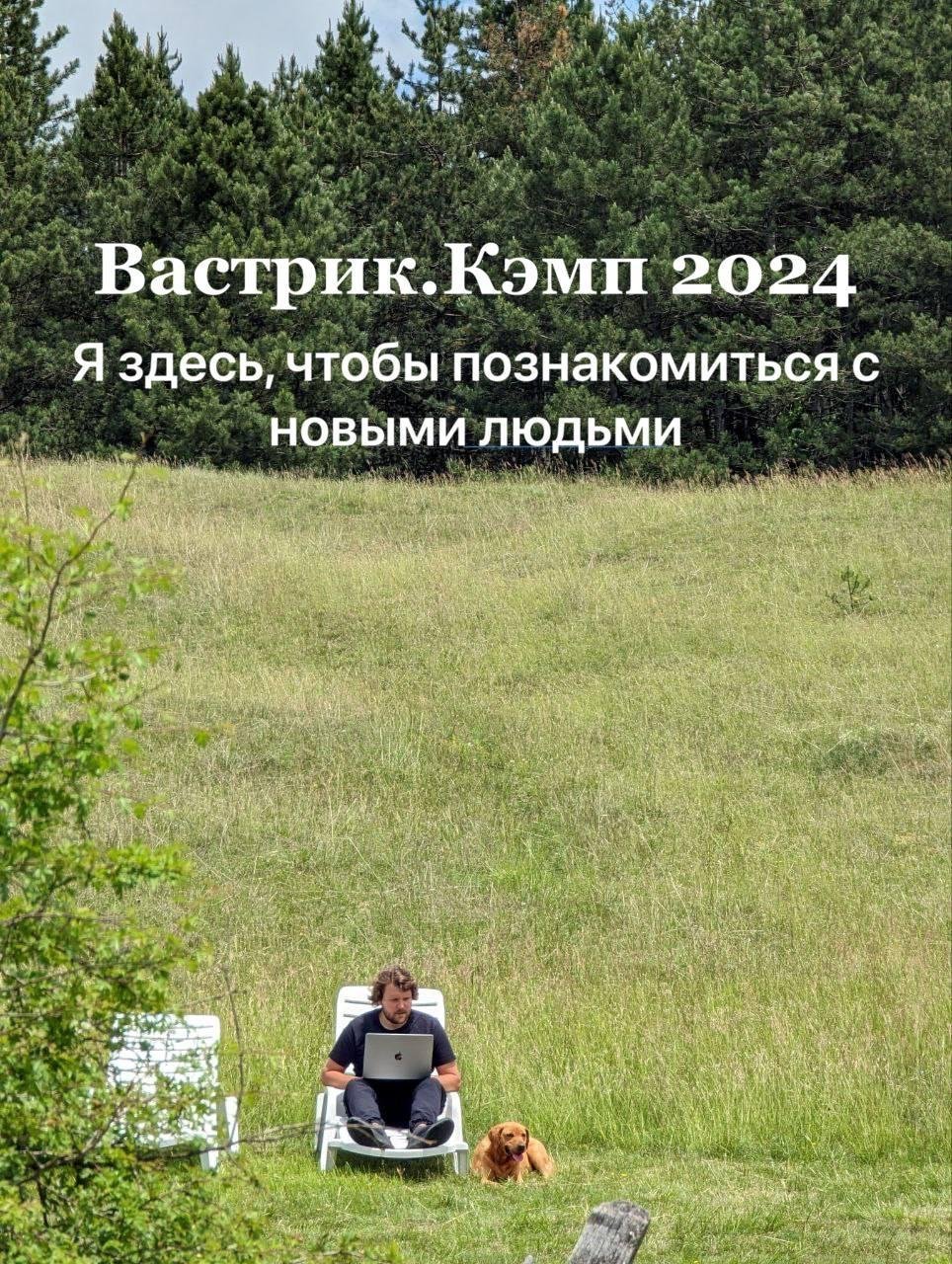 Мем первого дня. Ну хоть пса подарочного дали