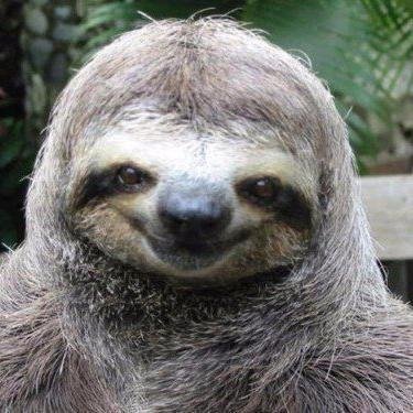 Аватар Ilya Hrushch