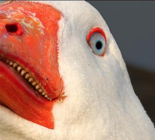 Аватар Александр Карташов