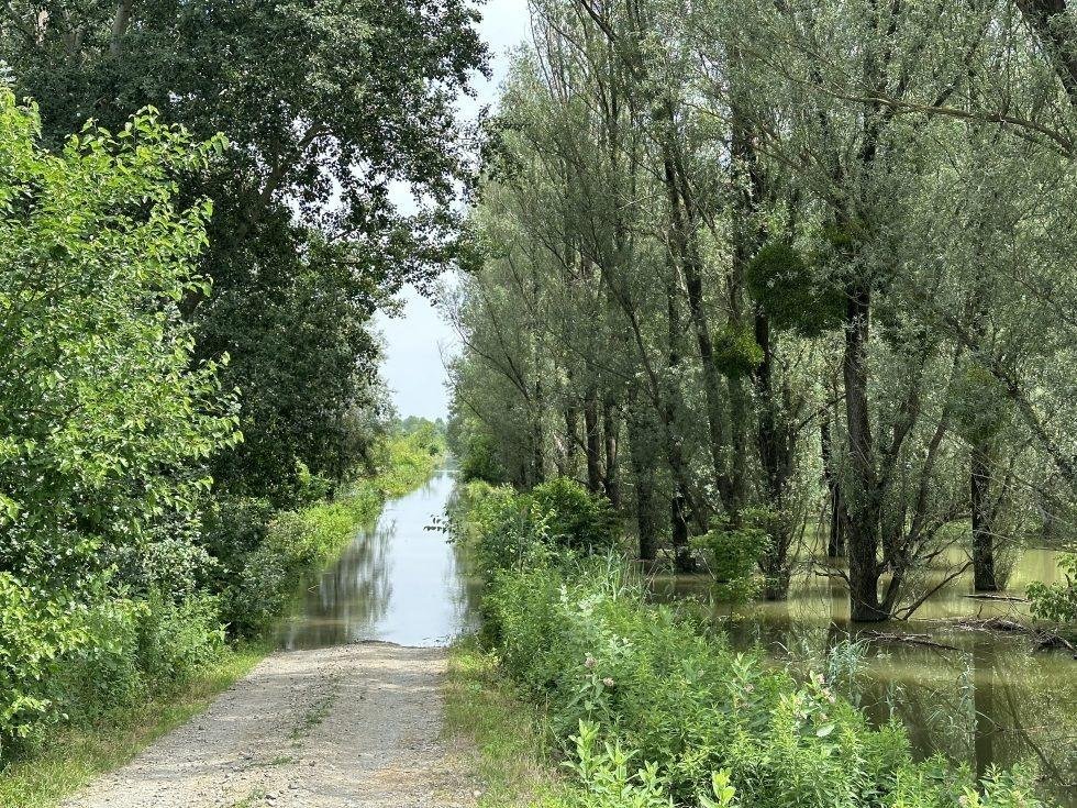 Затопленный въезд в Либерленд со стороны Змаевача