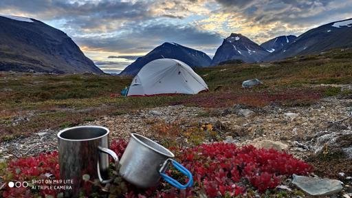 Аватар Denis Nedosekin