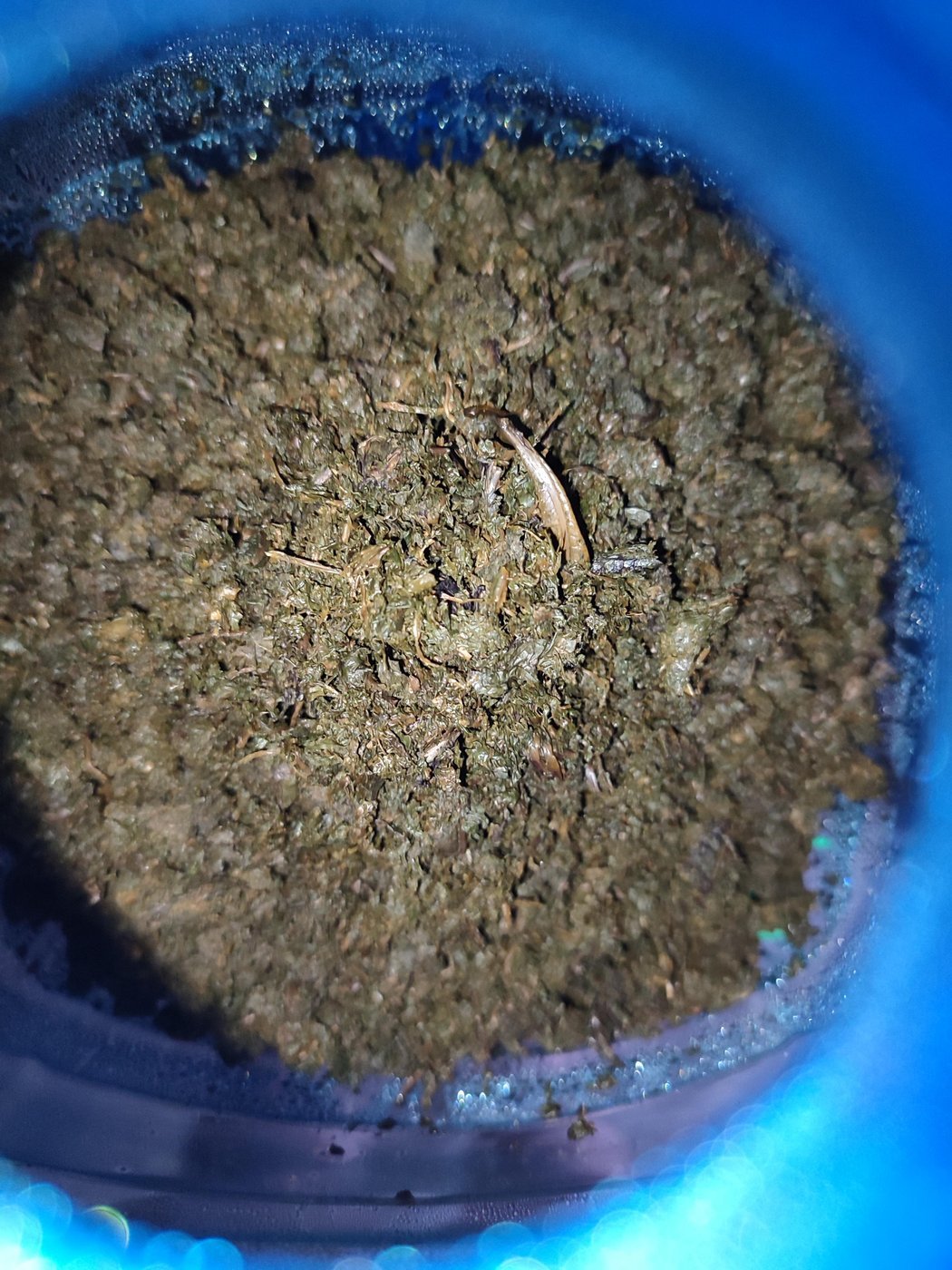 Заполняем сосуд для ферментации