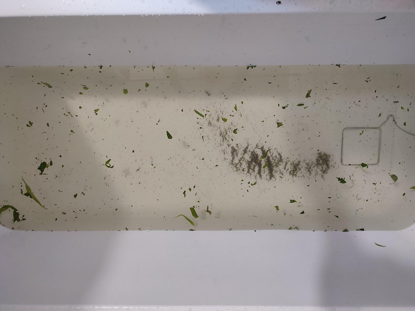 Спойлер: что получилось в осадке