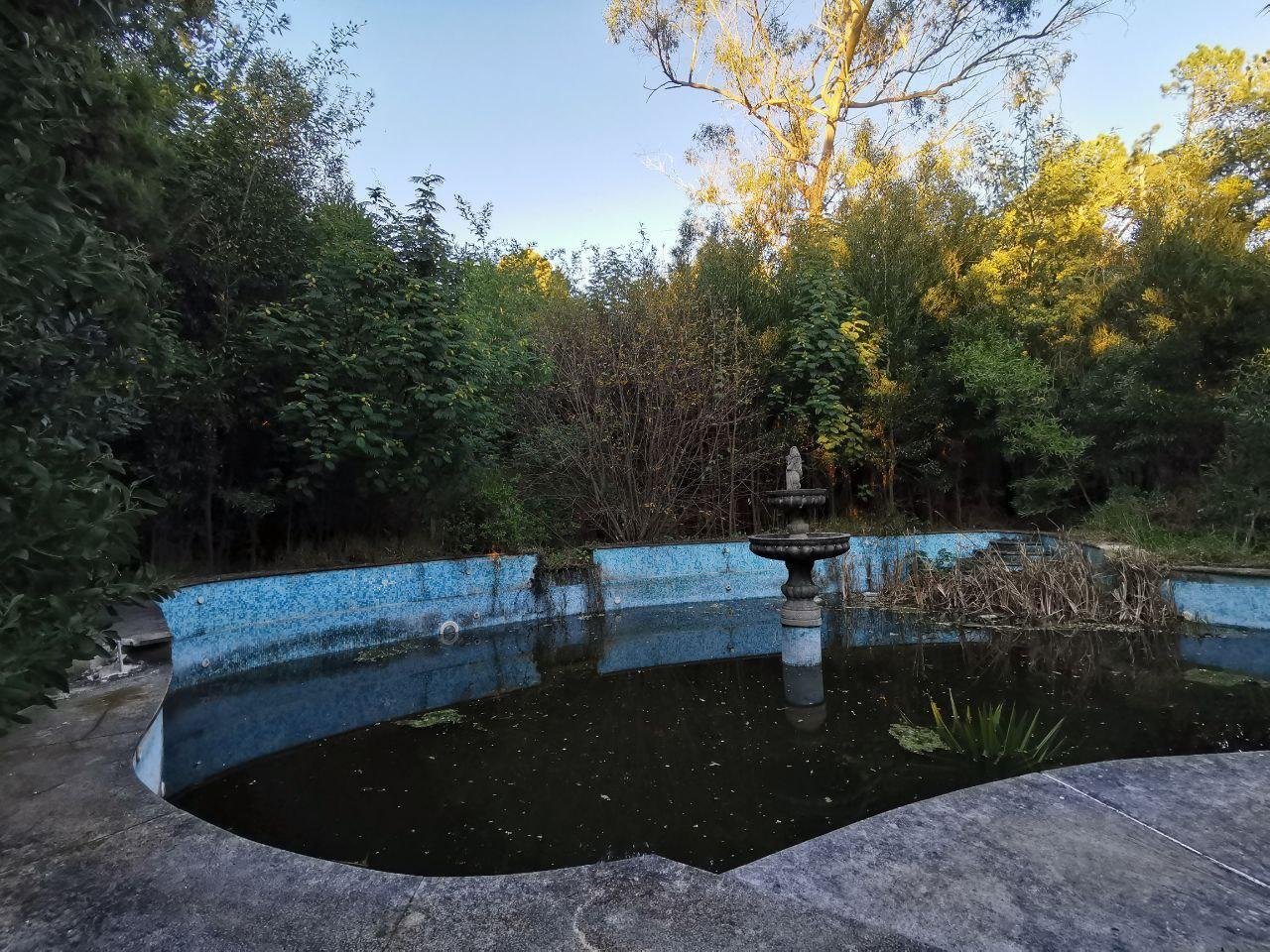 А сзади стоял фонтан и утопилась пальма