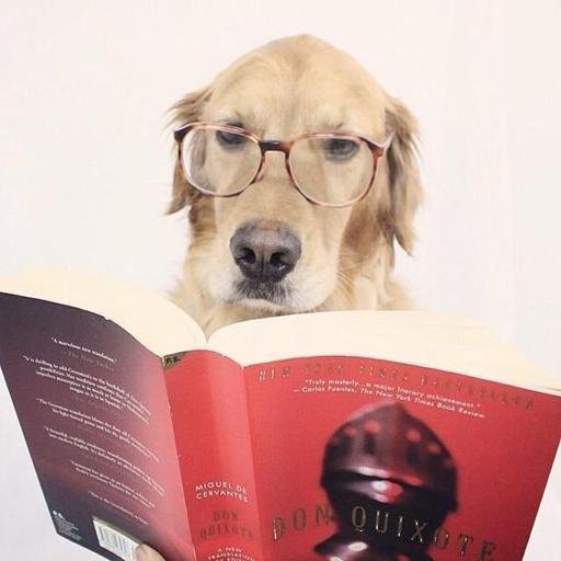 Аватар Назымок Дима