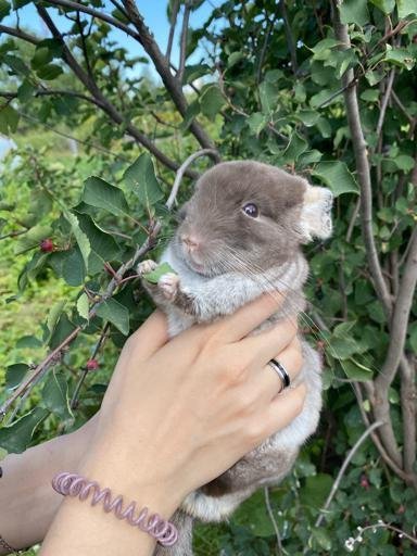 Аватар SonyaPepe