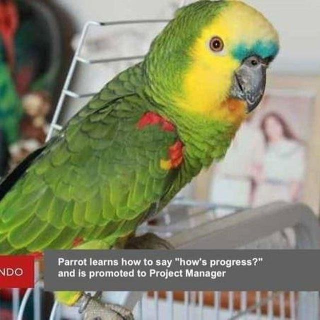 Иконка комнаты Менеджеры