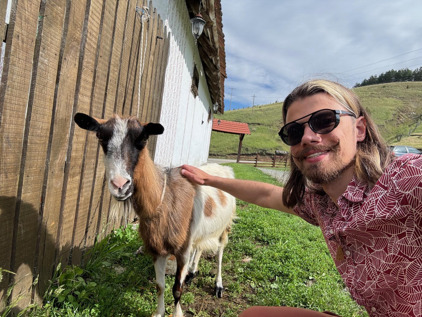 А эта плескавица пока слишком сырая, не ешь её, @Slavsquat