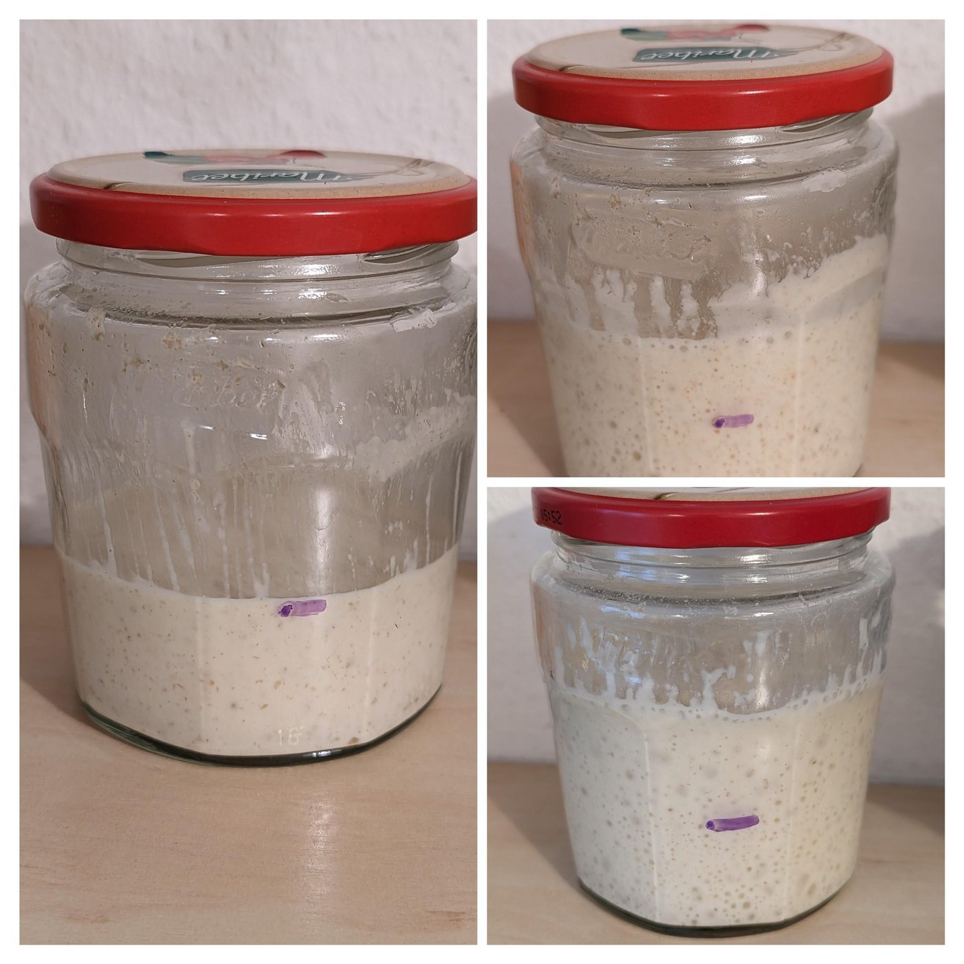 Закваска после кормления на 10 день, перед кормлением на 11 и на 11,5 дни