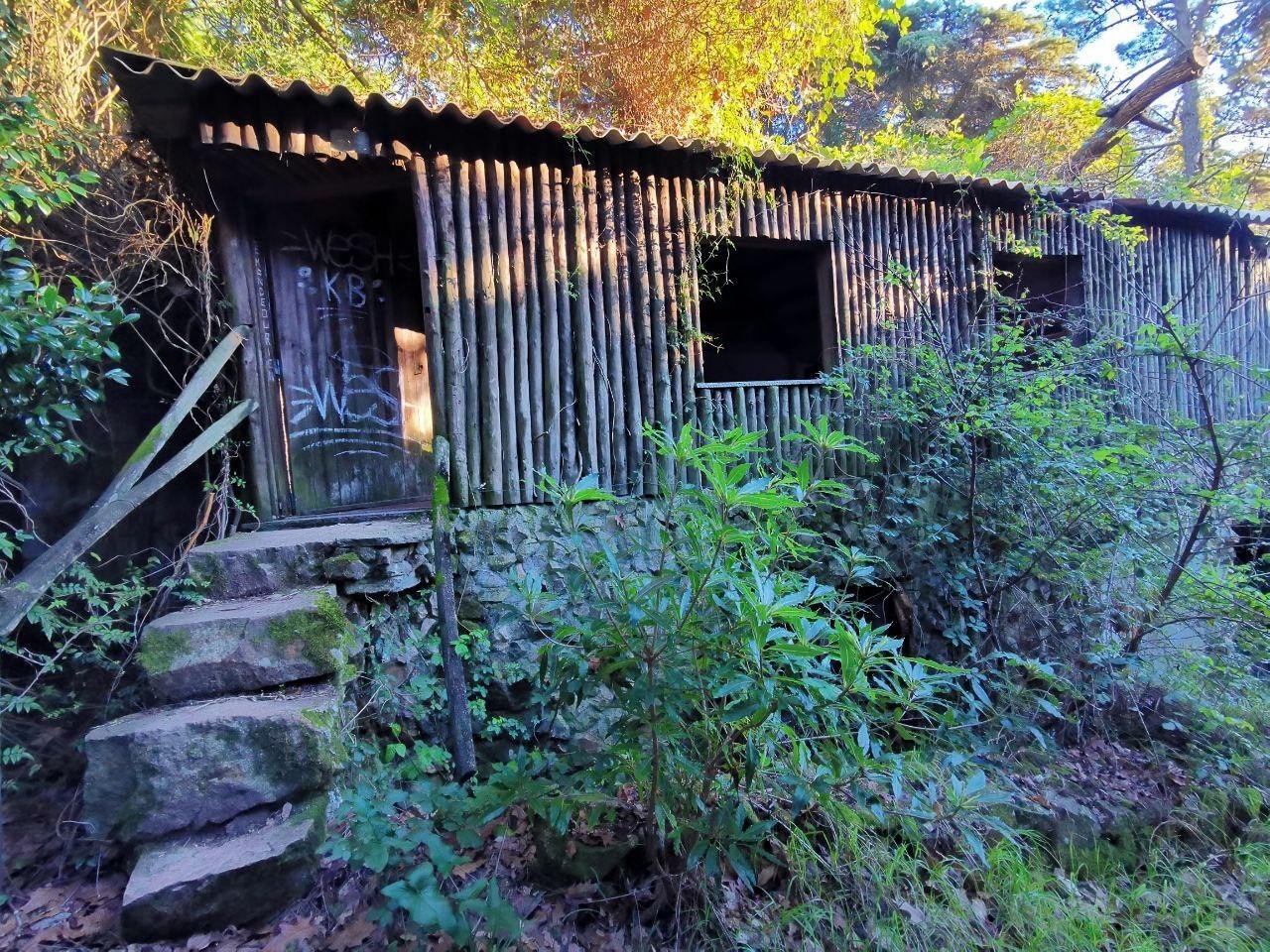 Шале сделано из камней и палок