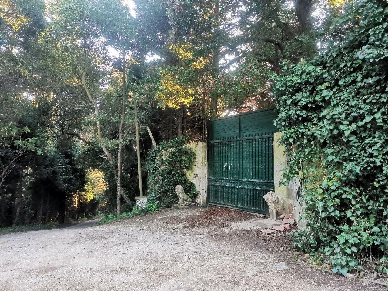 У главных ворот встречают гостей каменные львы