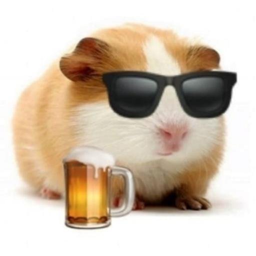 Аватар Аня Сабатарова