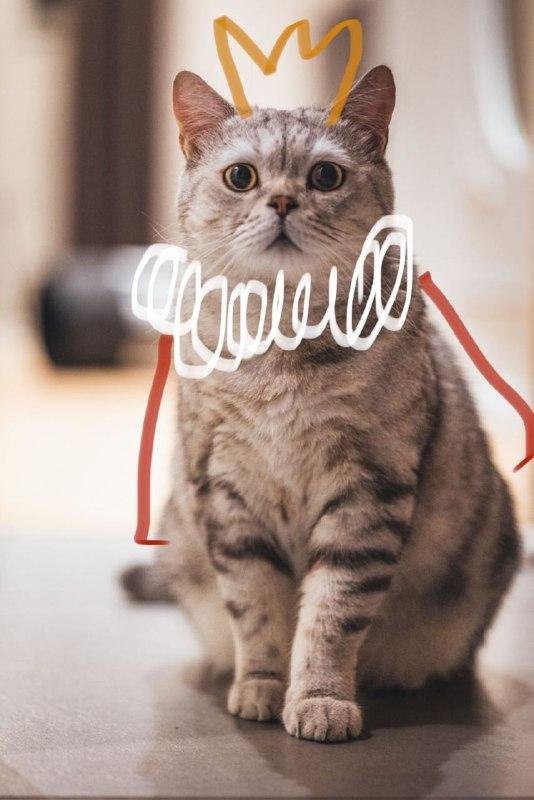 А иногда и не только брови!