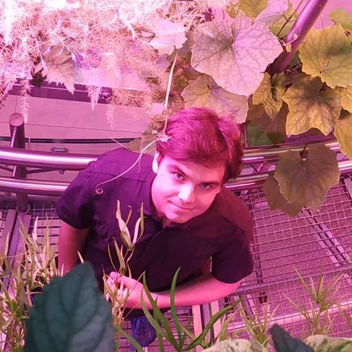 Аватар Максим Семенов